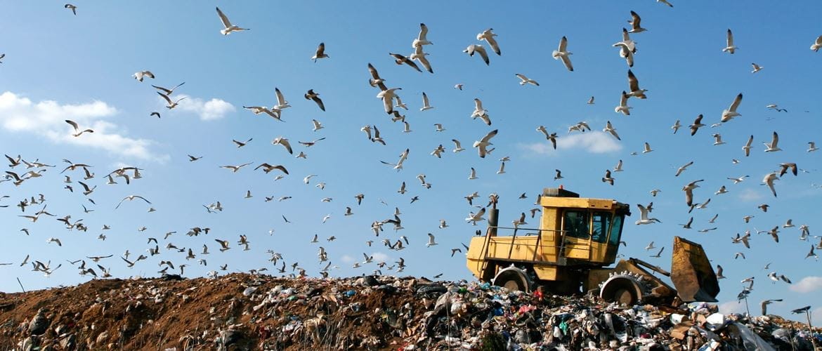 Bagger verreifte Müll auf einer Deponie, Möwen Umkreisen Die Szene.