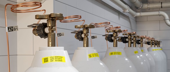 Gasflaschen in einem Keller, die mit gelb-schwarzen Etiketten zur Nachverfolgung und Bestandserfassung gekennzeichnet sind. 